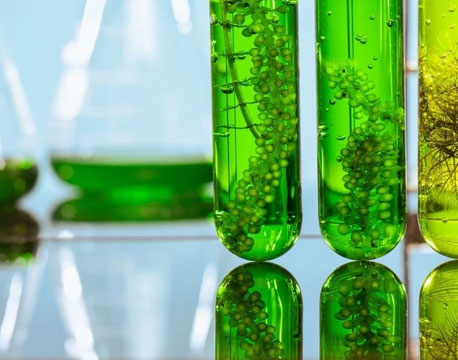 Bio-Ethanol