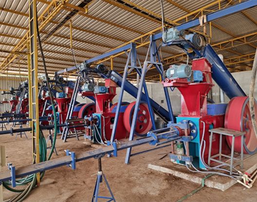 Briquette Plant Establishment