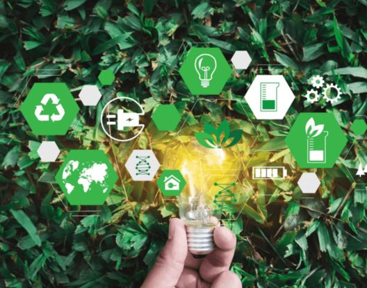 Environmental Impact Assessment Report